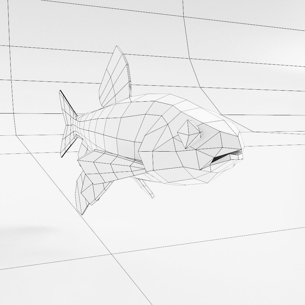 Zacco platypus fish low poly 3d model  Low-poly 3D model_3