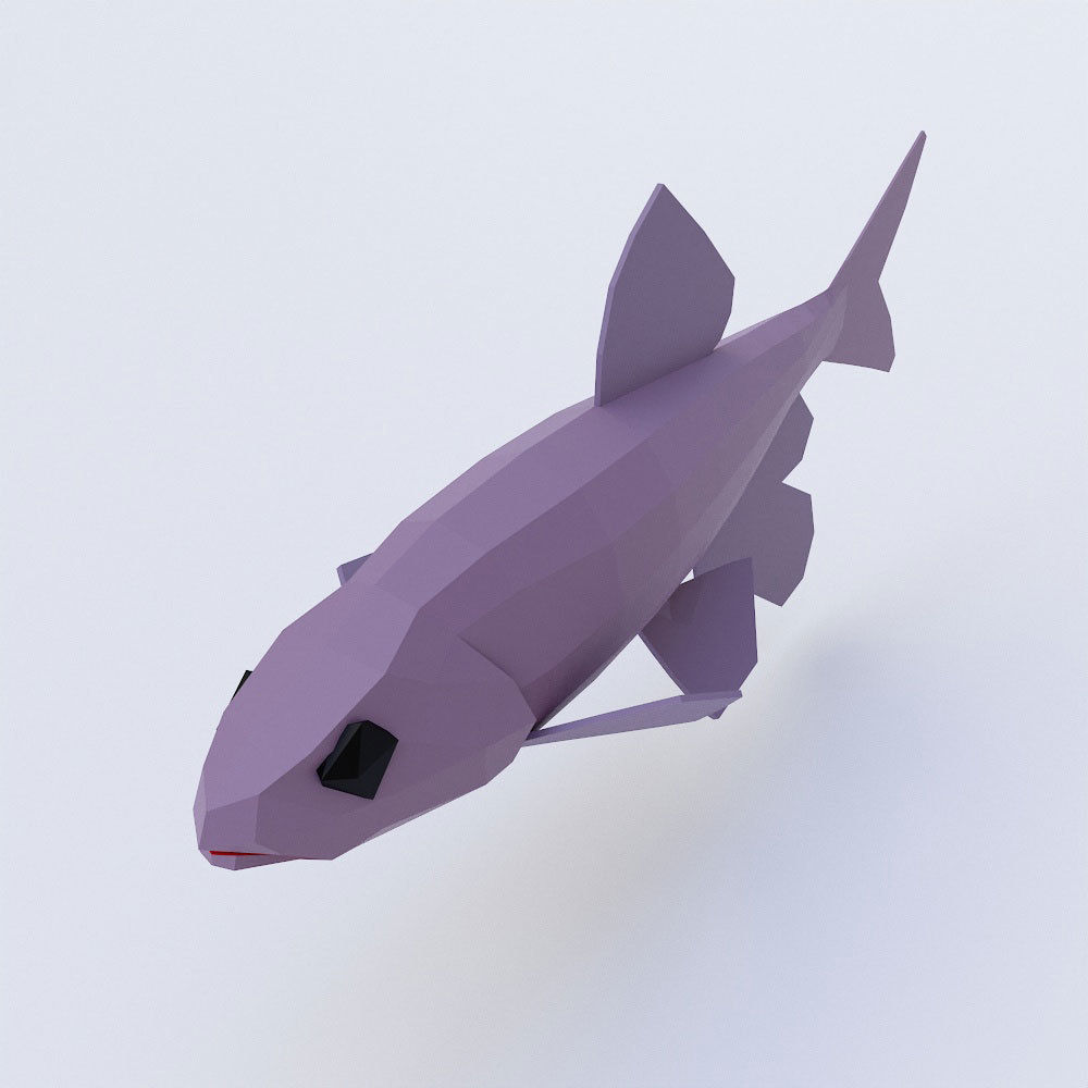 Zacco platypus fish low poly 3d model  Low-poly 3D model_1