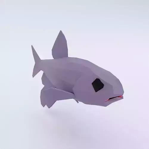 Zacco platypus fish low poly 3d model  Low-poly 3D model