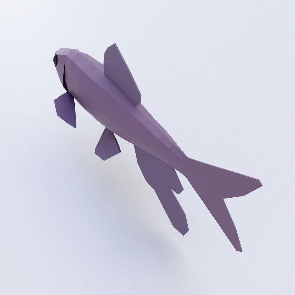 Zacco platypus fish low poly 3d model  Low-poly 3D model_2