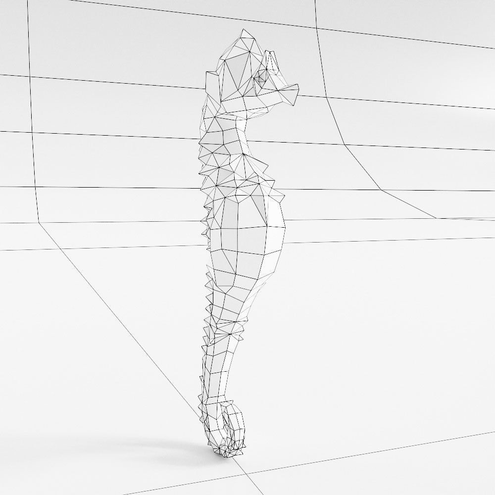 Sea horse 3d model  Low-poly 3D model_4