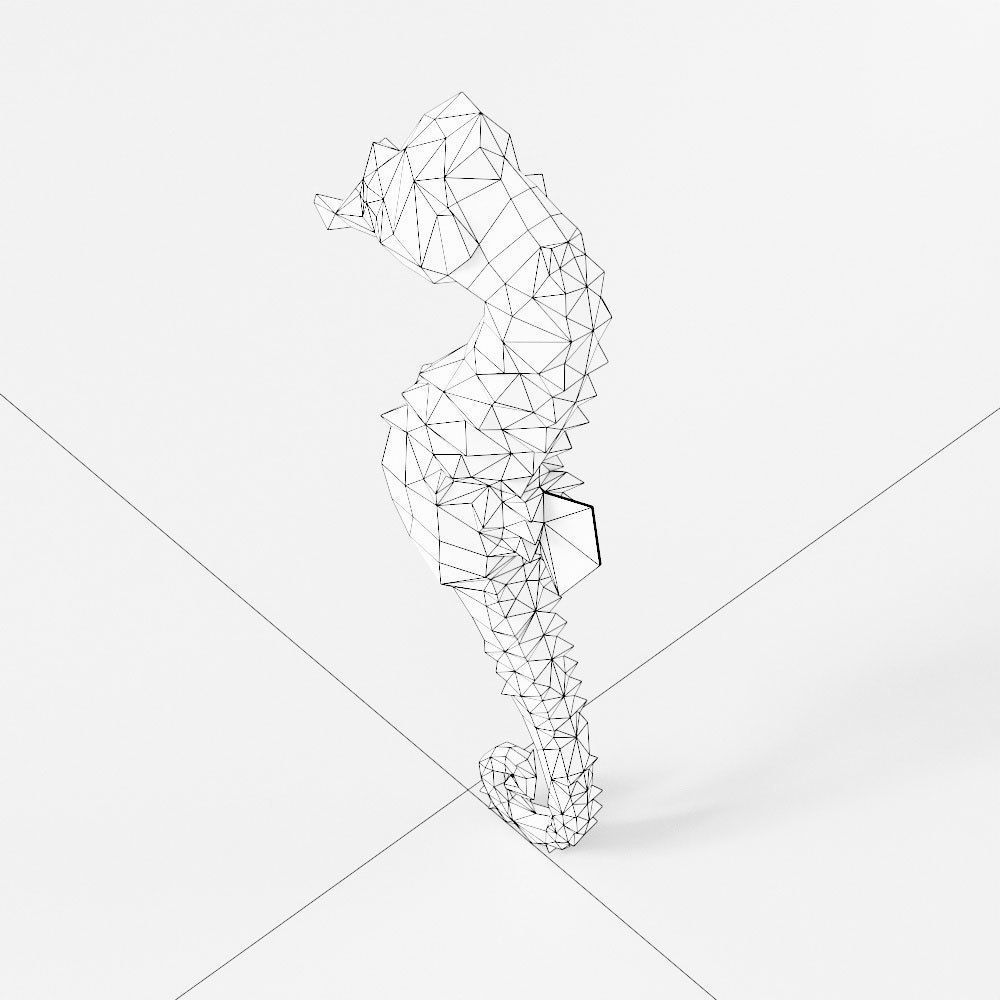 Sea horse 3d model  Low-poly 3D model_6