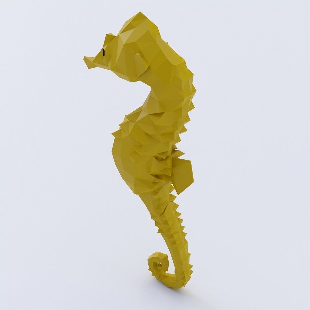 Sea horse 3d model  Low-poly 3D model_3