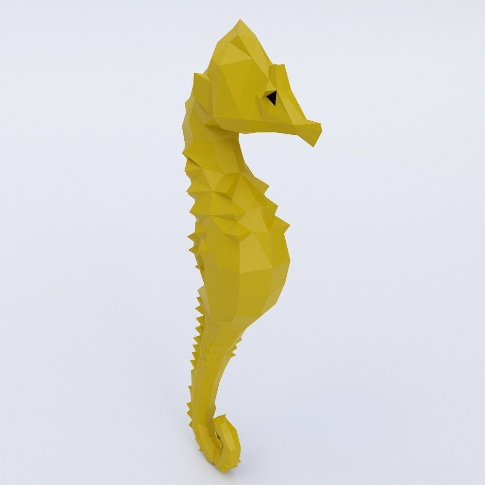 Sea horse 3d model  Low-poly 3D model_2
