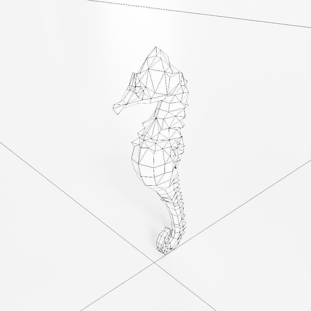 Sea horse 3d model  Low-poly 3D model_5