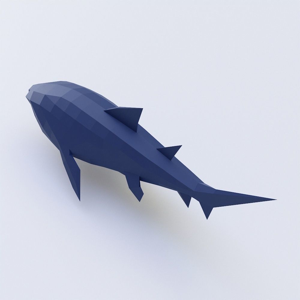 Shark Fish low poly toon 3d model Low-poly 3D model_3
