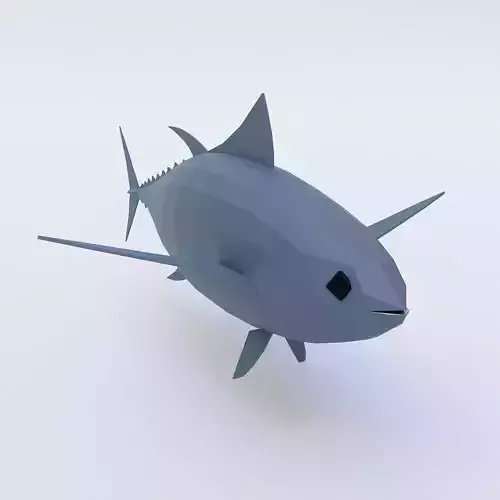 Tuna fish low poly 3d model 