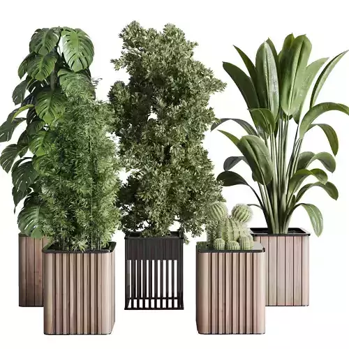 stand plant box  collection Indoor plant 242 wooden