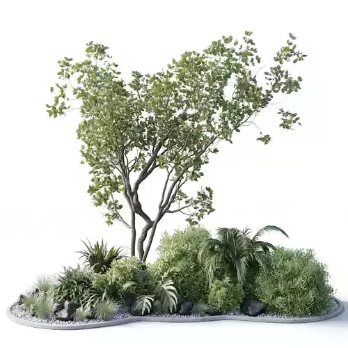 garden pot tree bush Collection outdoor indoor 113