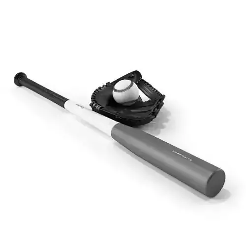 Grey And Black Aluminum Baseball Bat With Black Mitt 3D model