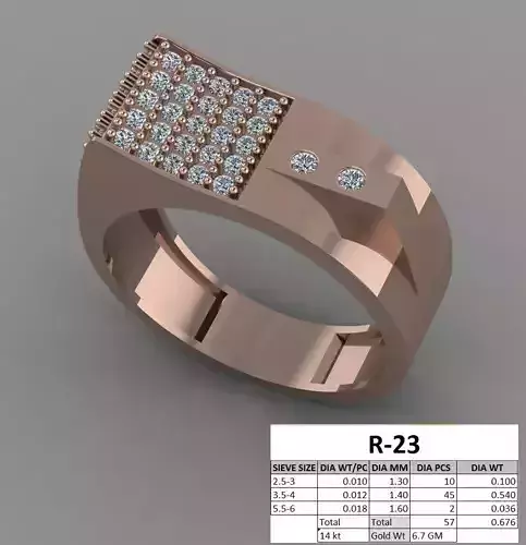 Ring - 23