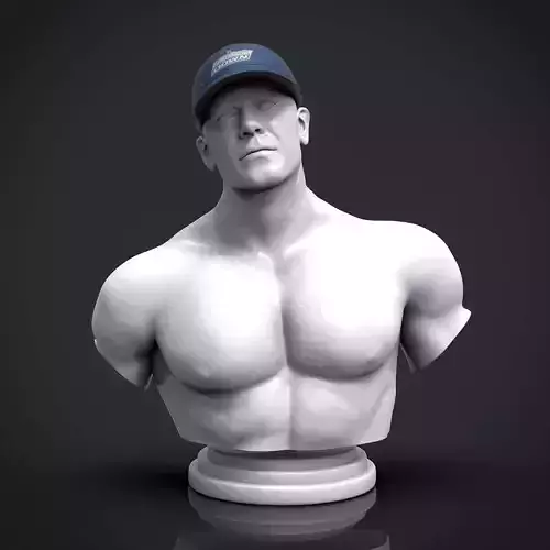 John Cena Bust  3D print model