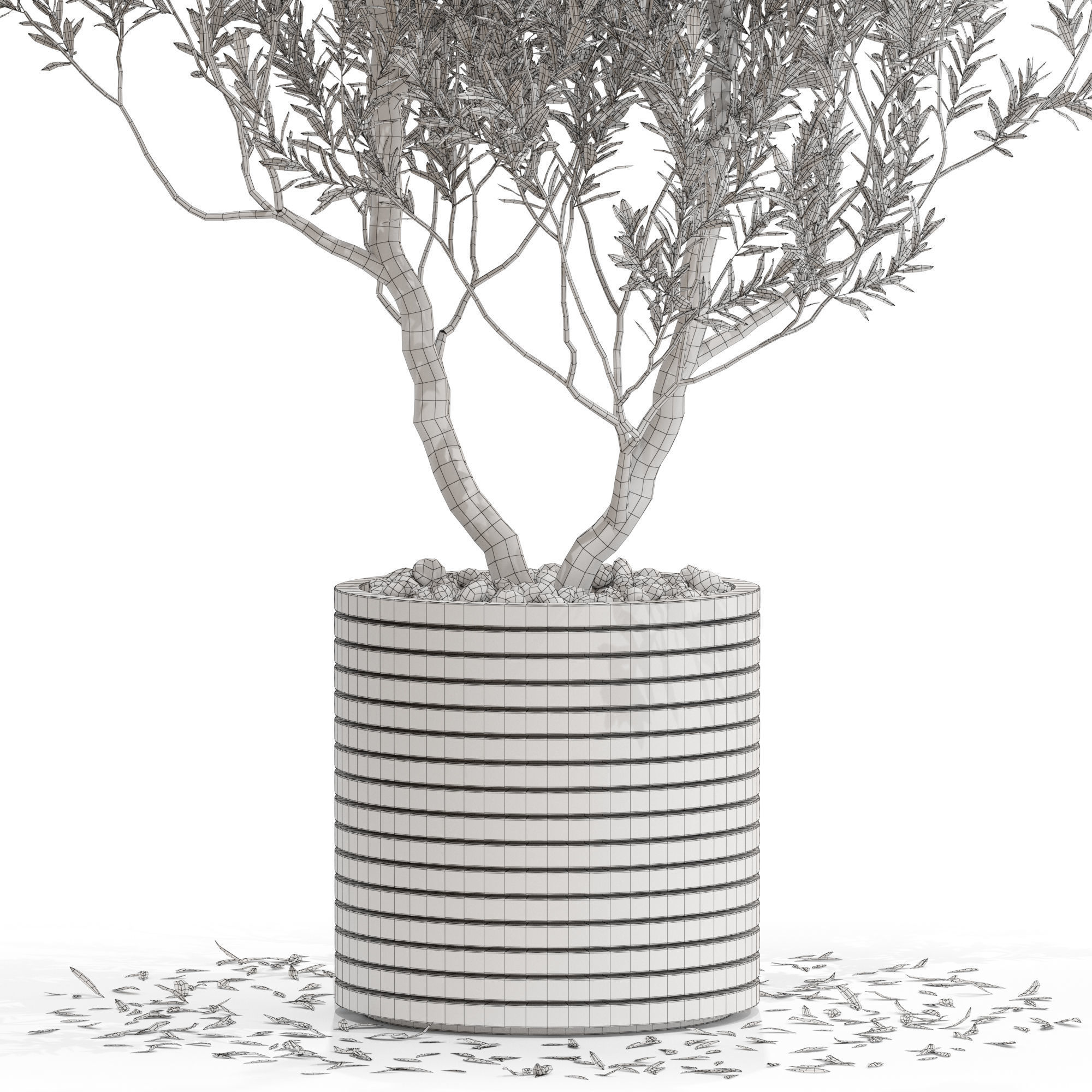 Plants collection 729 3D model_4