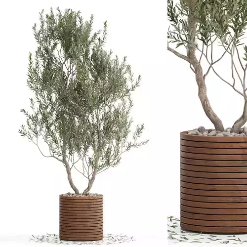 Plants collection 729 3D model
