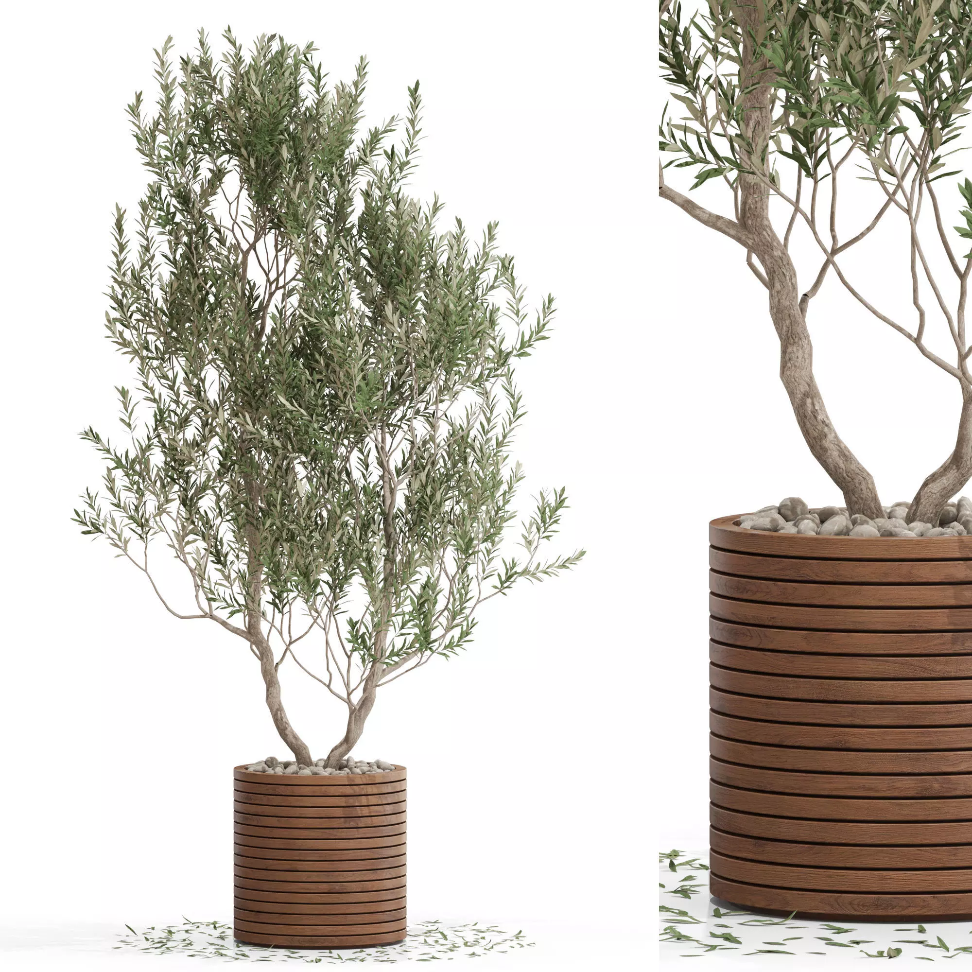 Plants collection 729 3D model_0