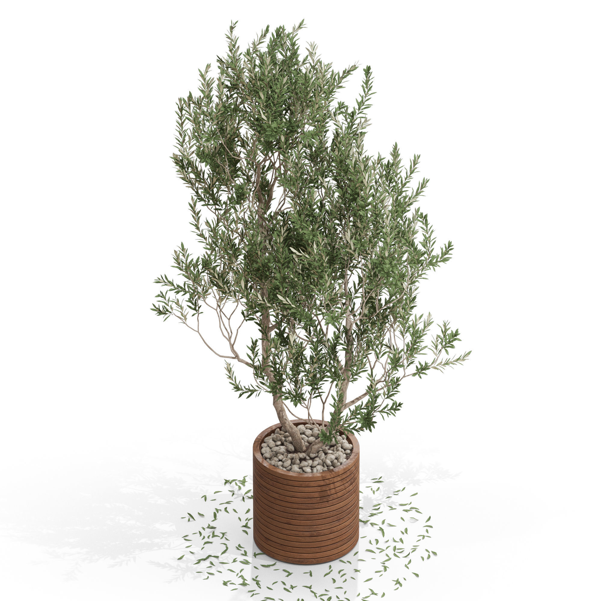 Plants collection 729 3D model_2