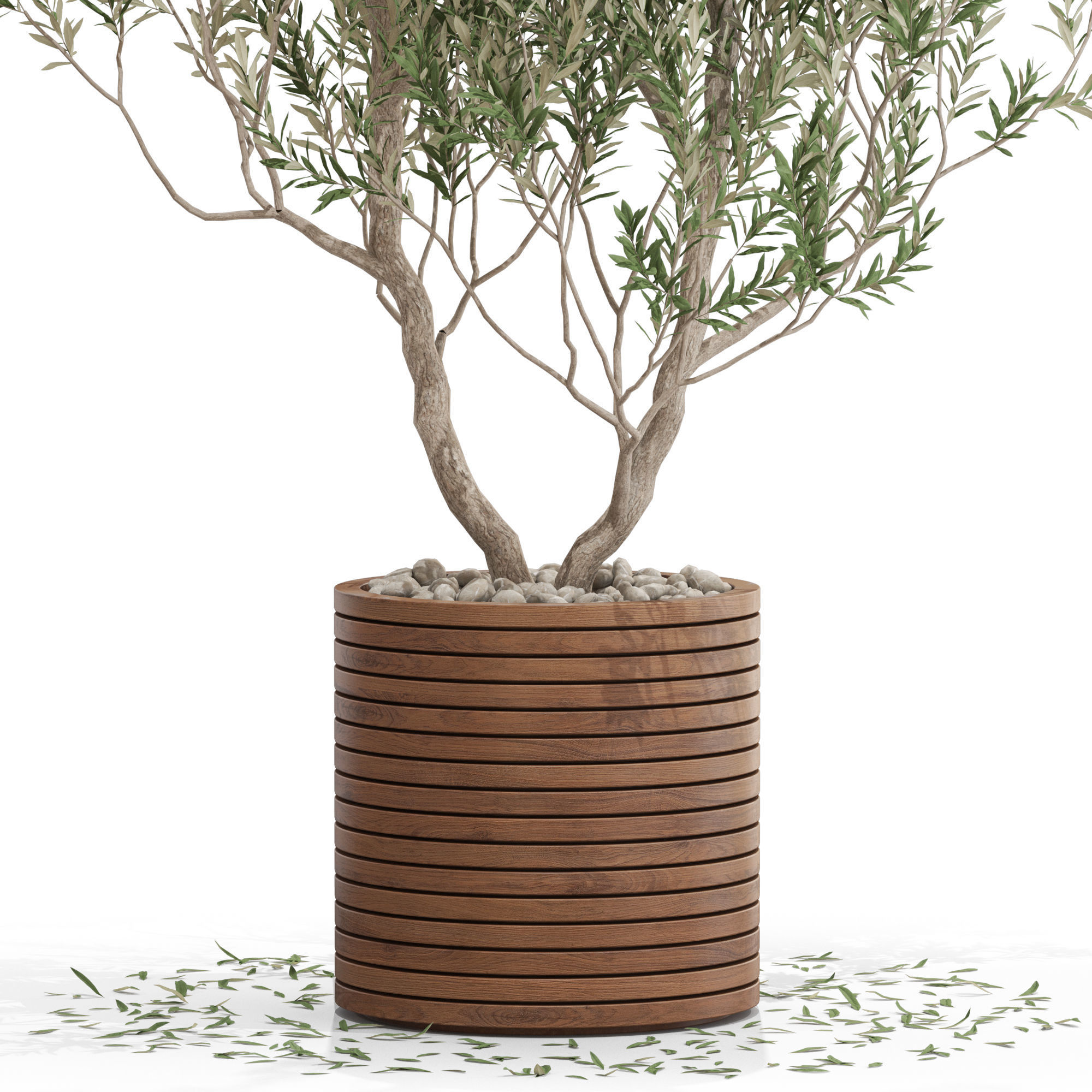 Plants collection 729 3D model_1