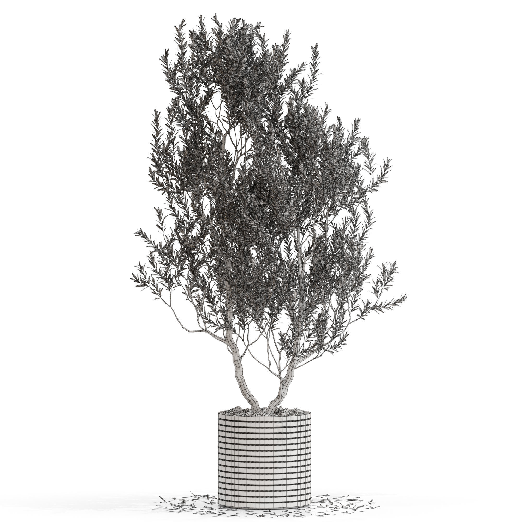 Plants collection 729 3D model_3