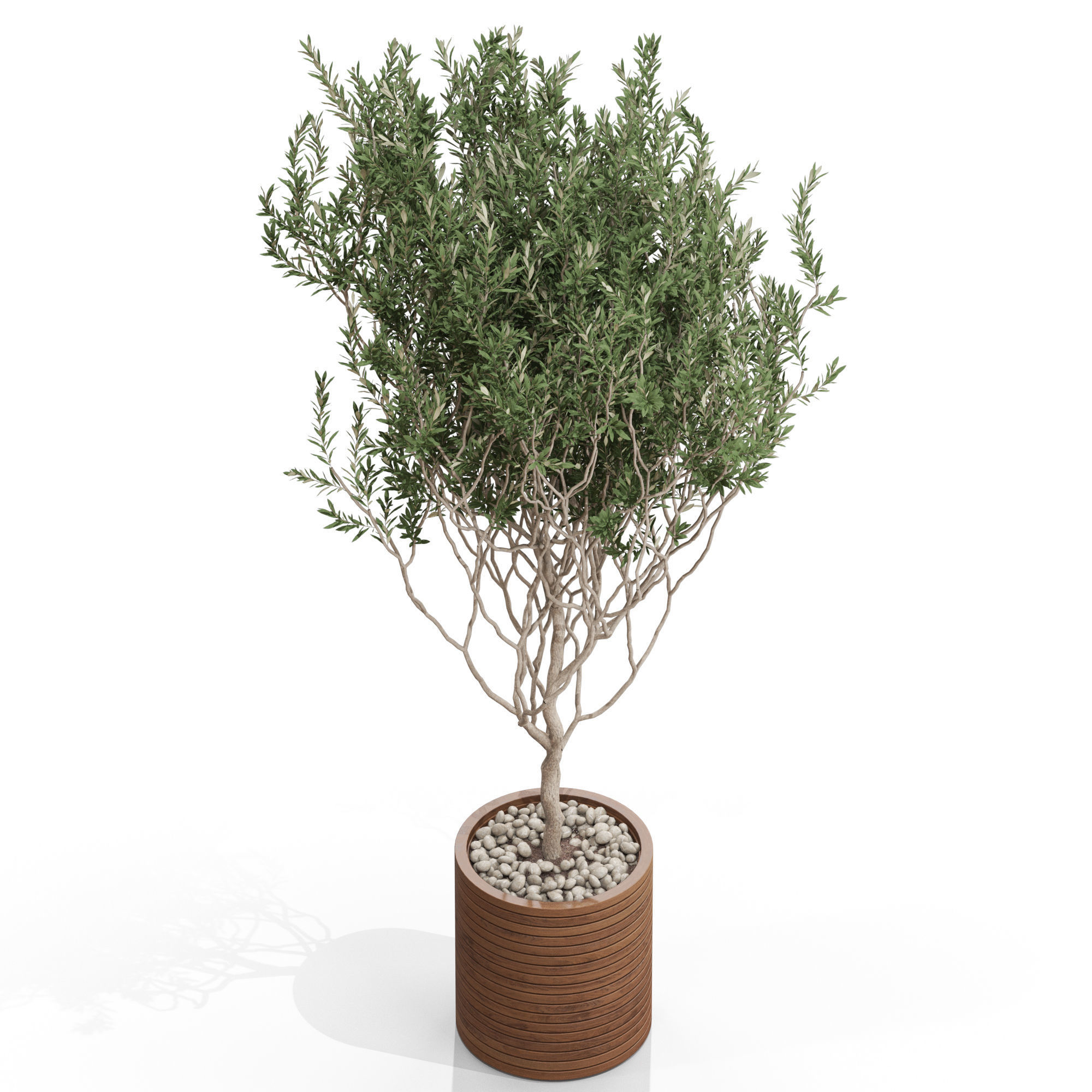 Plants collection 730 3D model_2