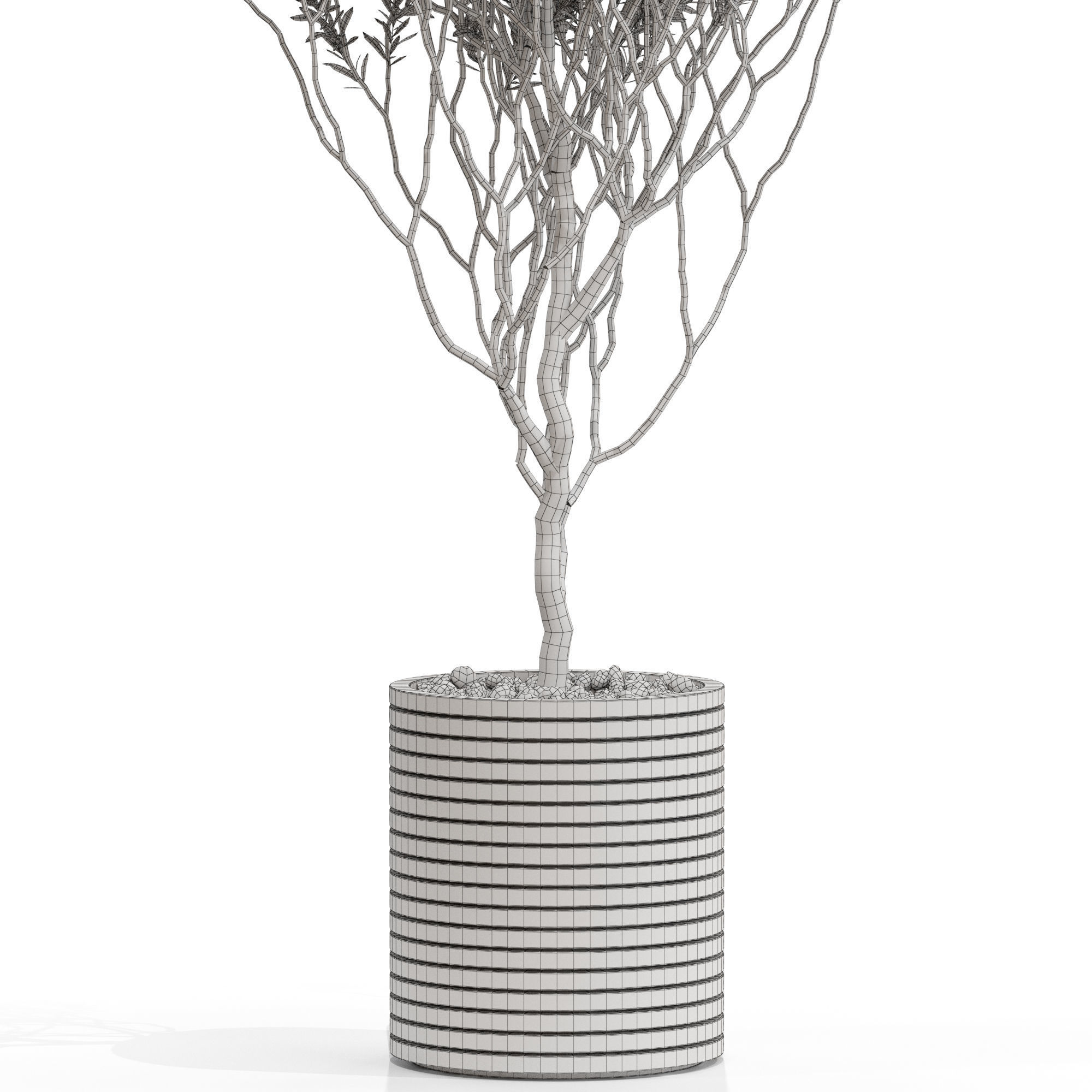 Plants collection 730 3D model_4