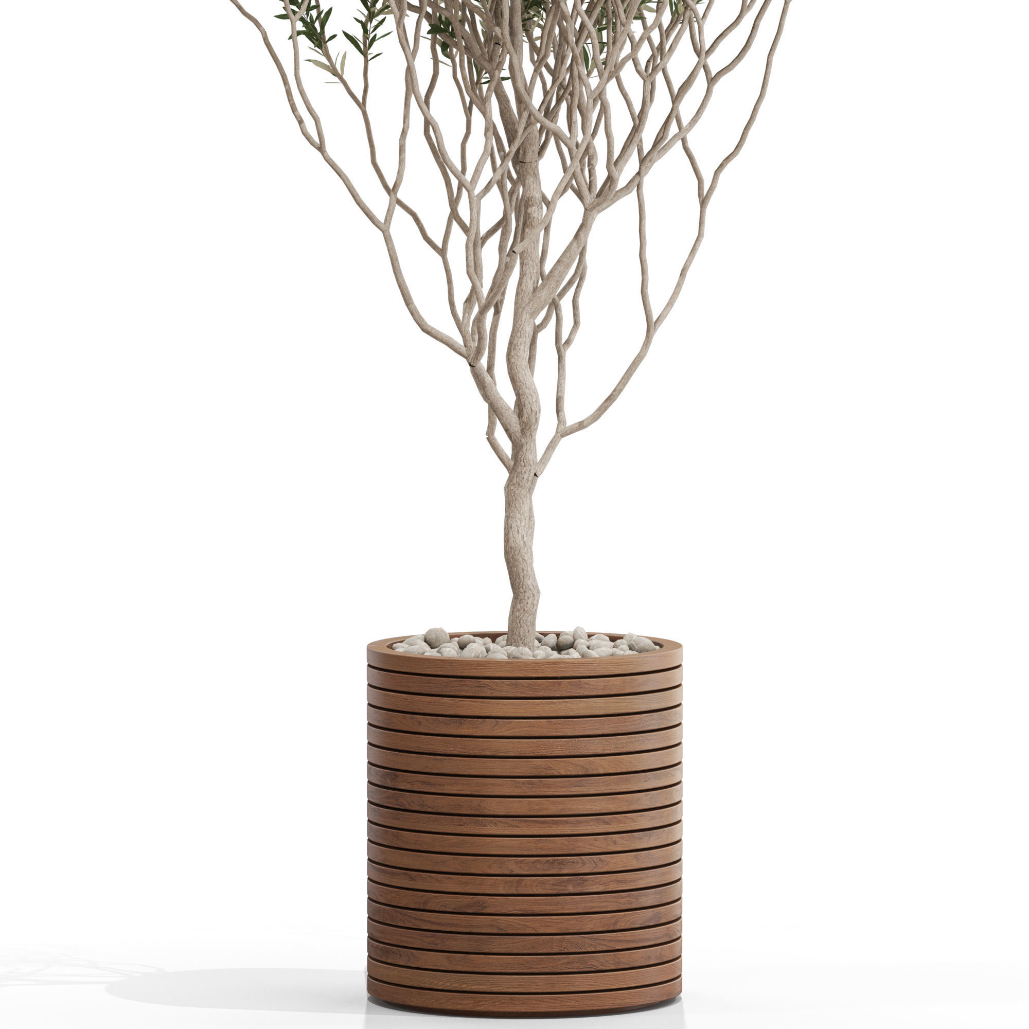 Plants collection 730 3D model_1