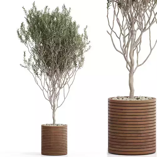 Plants collection 730 3D model