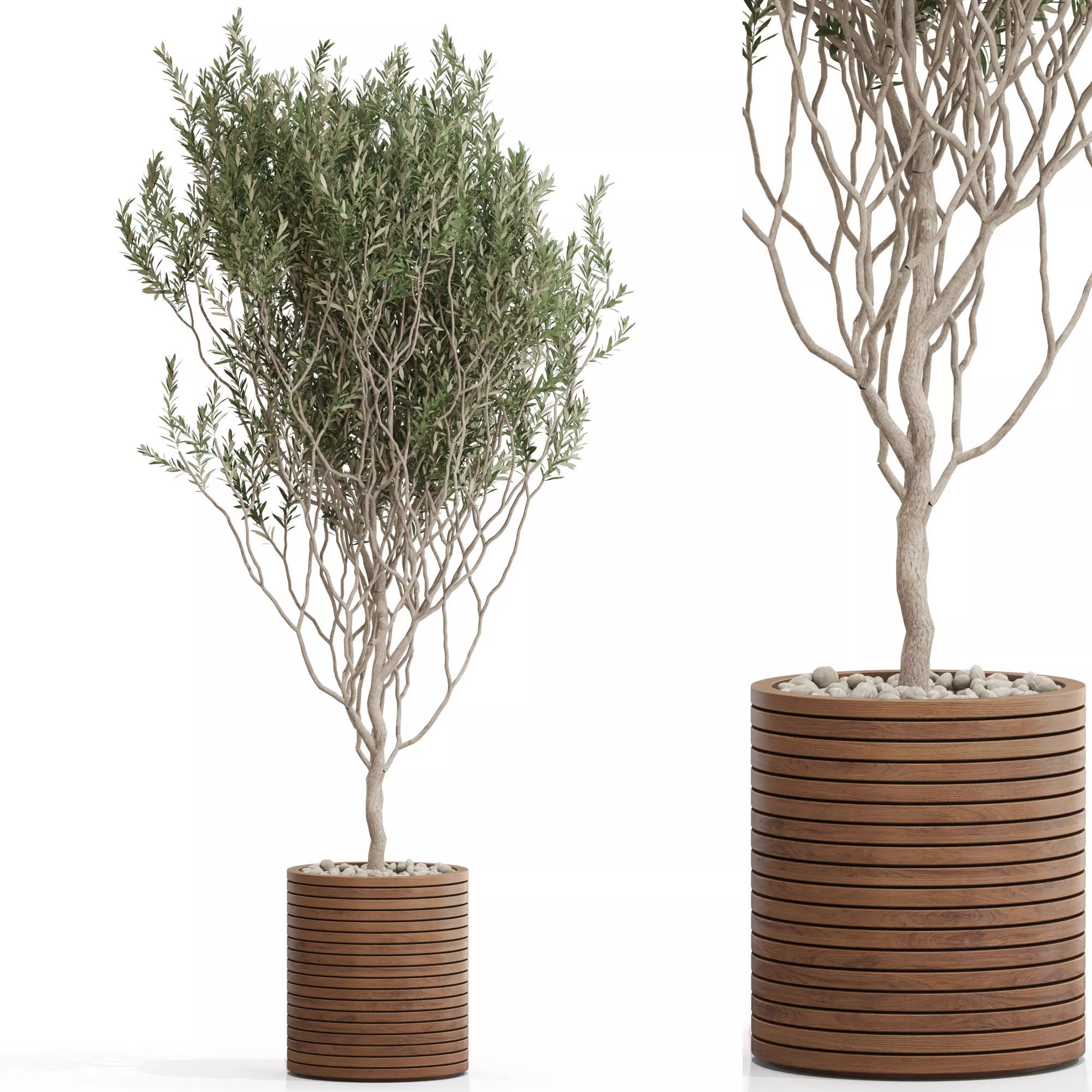 Plants collection 730 3D model_0