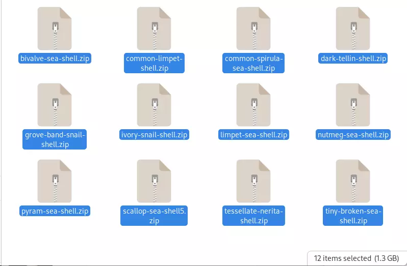 Sea Shell Pack for Emmie 3D model_0