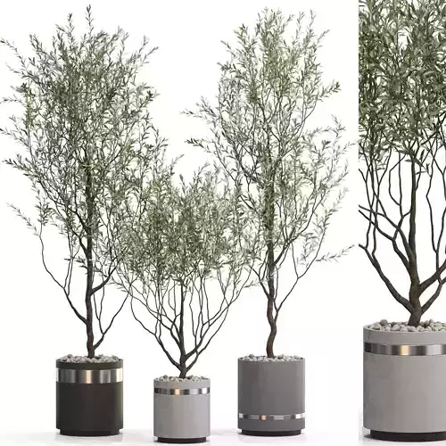 Plants collection 732 3D model
