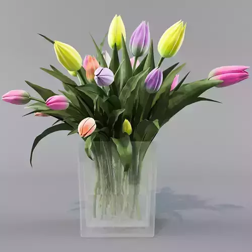 plants-03-Tulips colorful tulips in vase