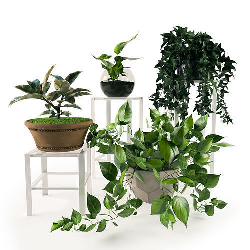 Vase-04 potted plants 3D model
