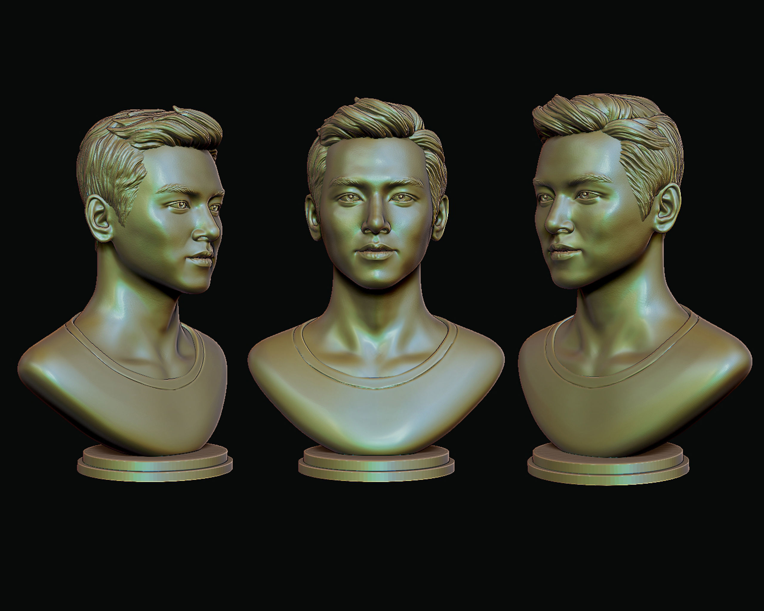 Ji Chang-wook portrait 3D print model_10