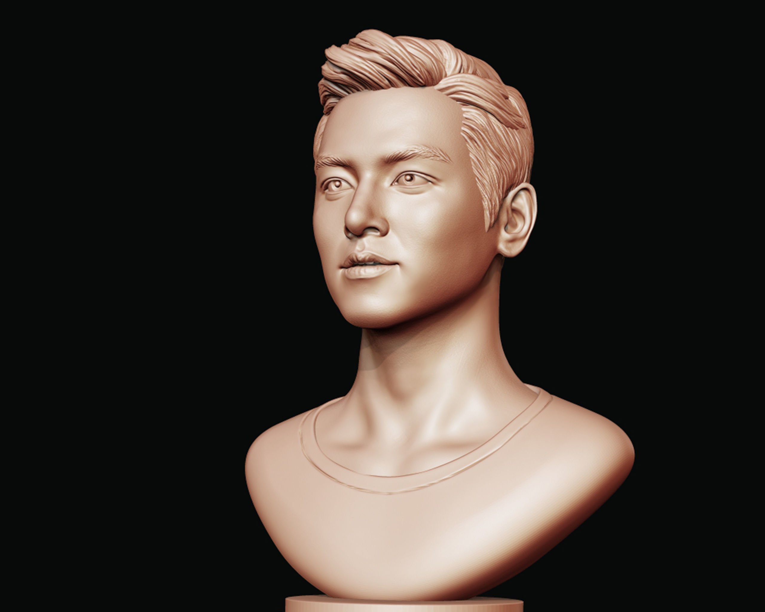Ji Chang-wook portrait 3D print model_3