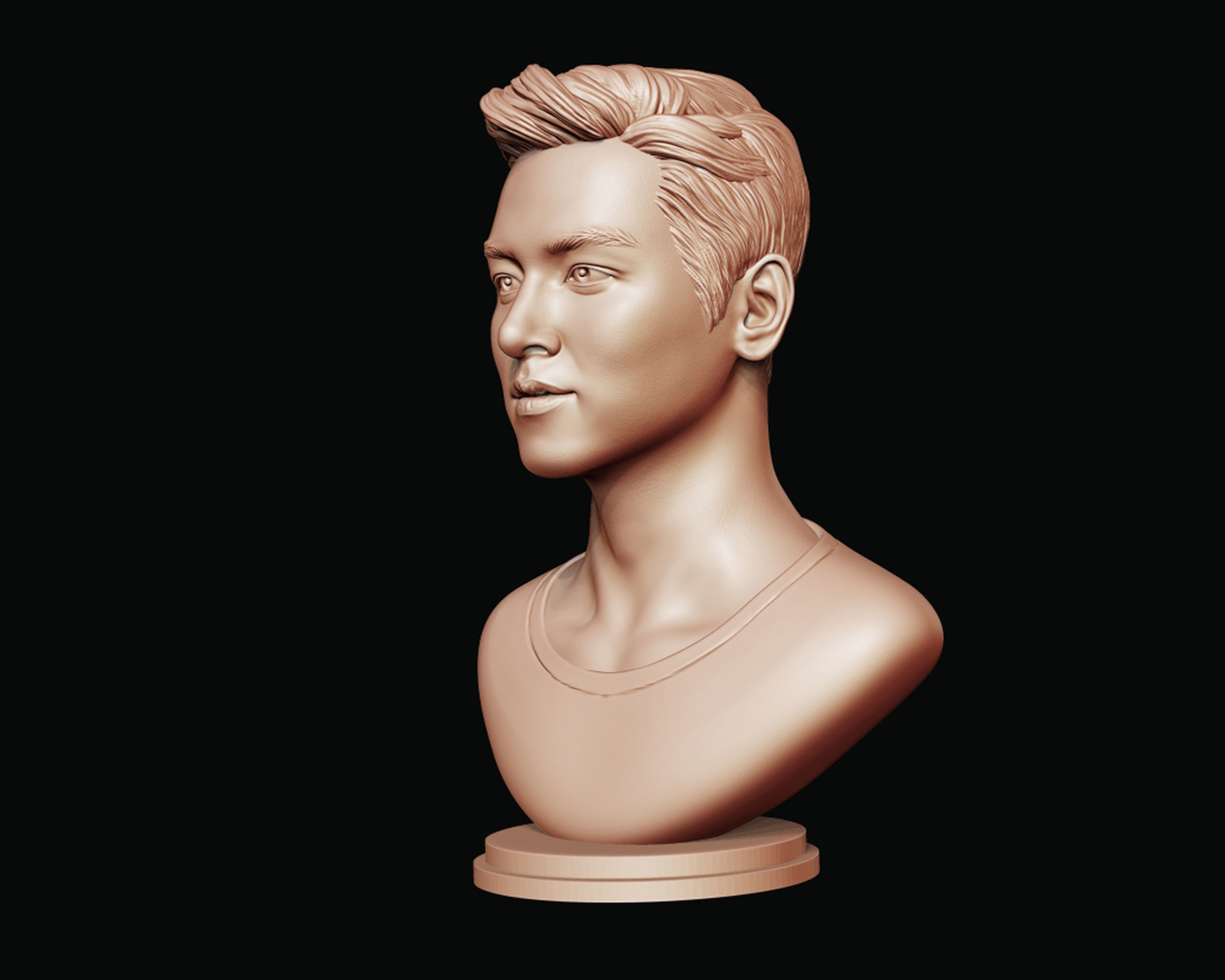 Ji Chang-wook portrait 3D print model_13