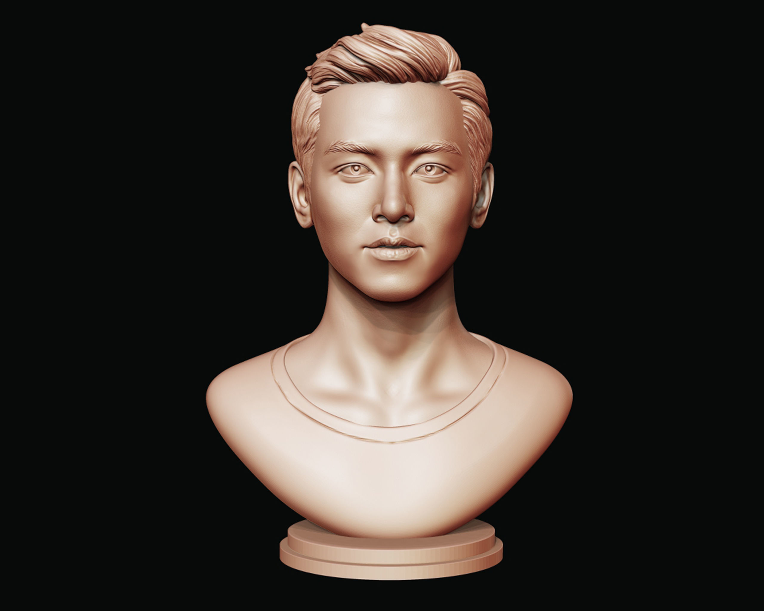 Ji Chang-wook portrait 3D print model_2