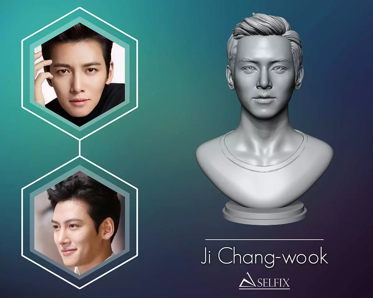 Ji Chang-wook portrait 3D print model_0