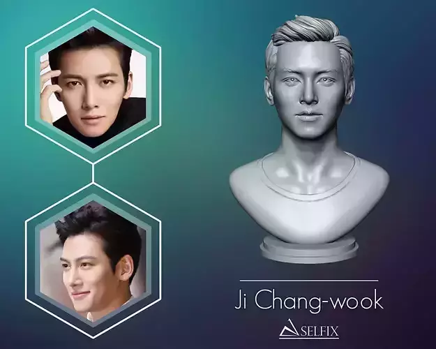 Ji Chang-wook portrait 3D print model