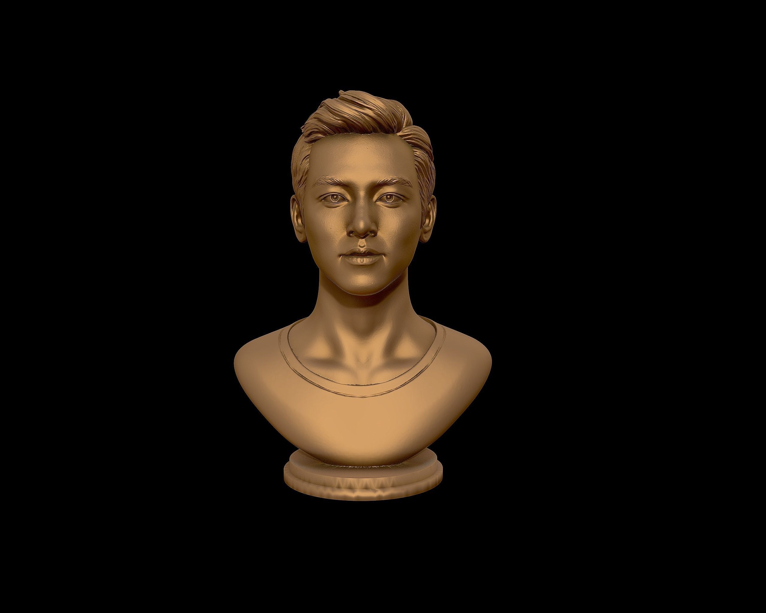 Ji Chang-wook portrait 3D print model_30