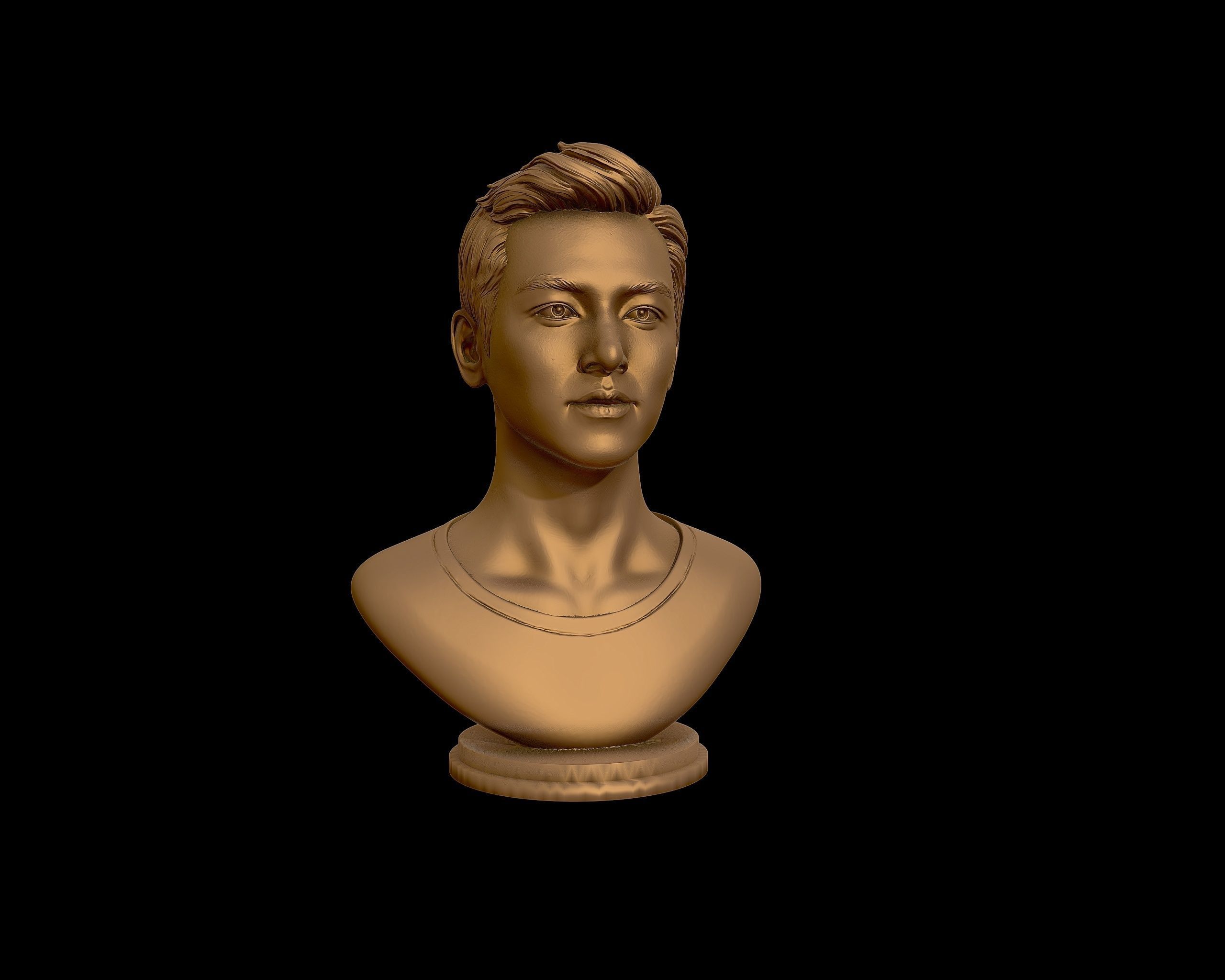 Ji Chang-wook portrait 3D print model_29