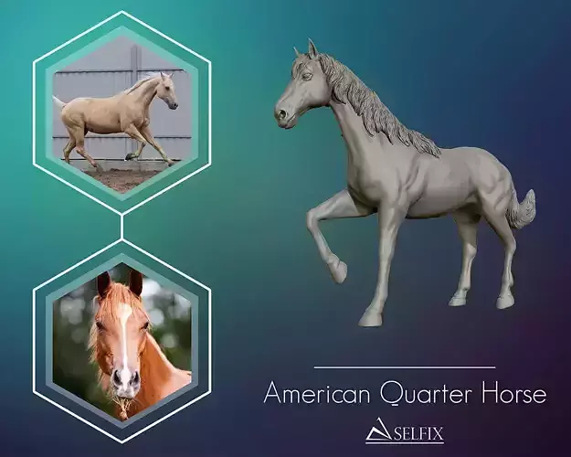 American Quarter Horse model 3D print model