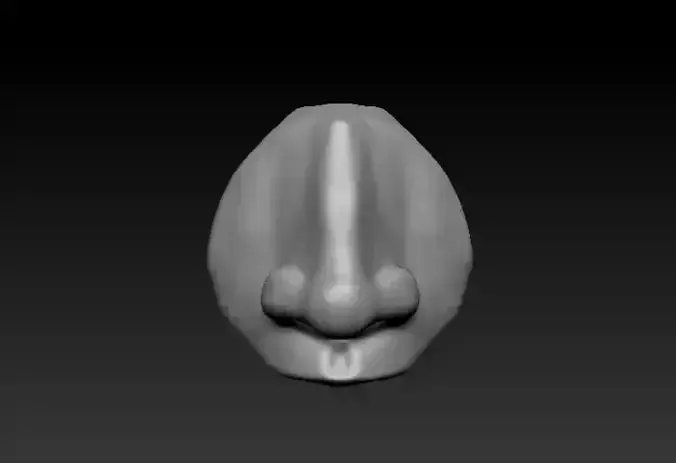 3D Realistic Male Anatomy Nose