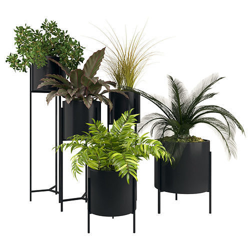 plants 05 3D model