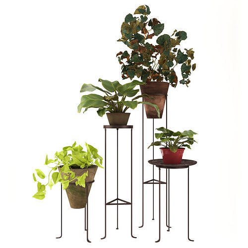 plants-07 four plant stands 3D model