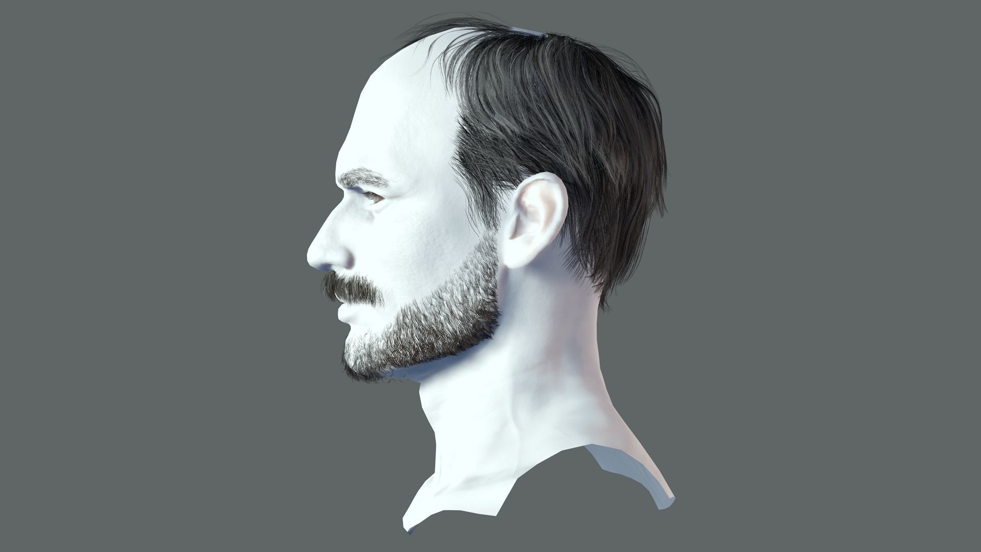 Realistic Hair Beard brows mustache p5 Low-poly 3D model_5