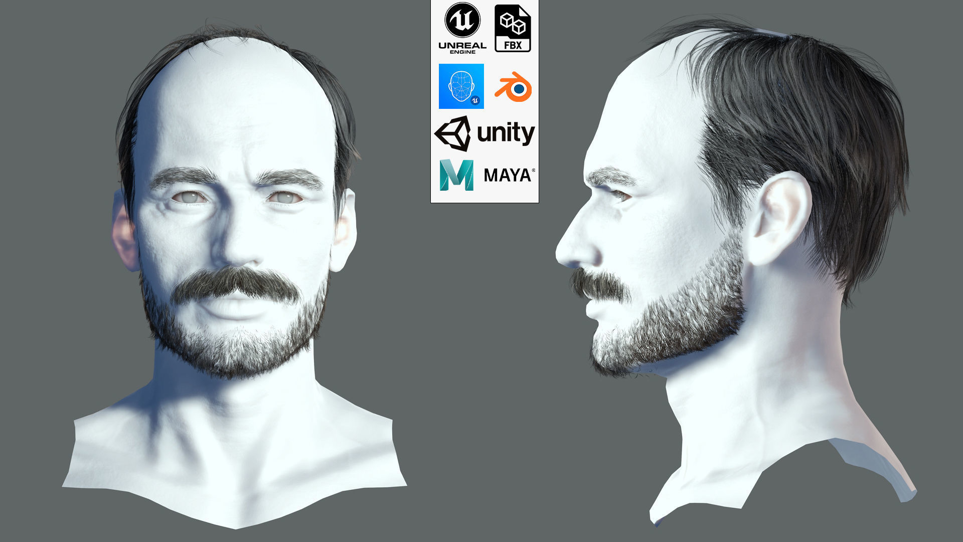 Realistic Hair Beard brows mustache p5 Low-poly 3D model_2