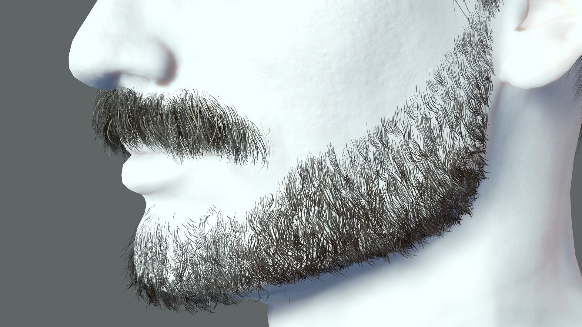 Realistic Hair Beard brows mustache p5 Low-poly 3D model_18