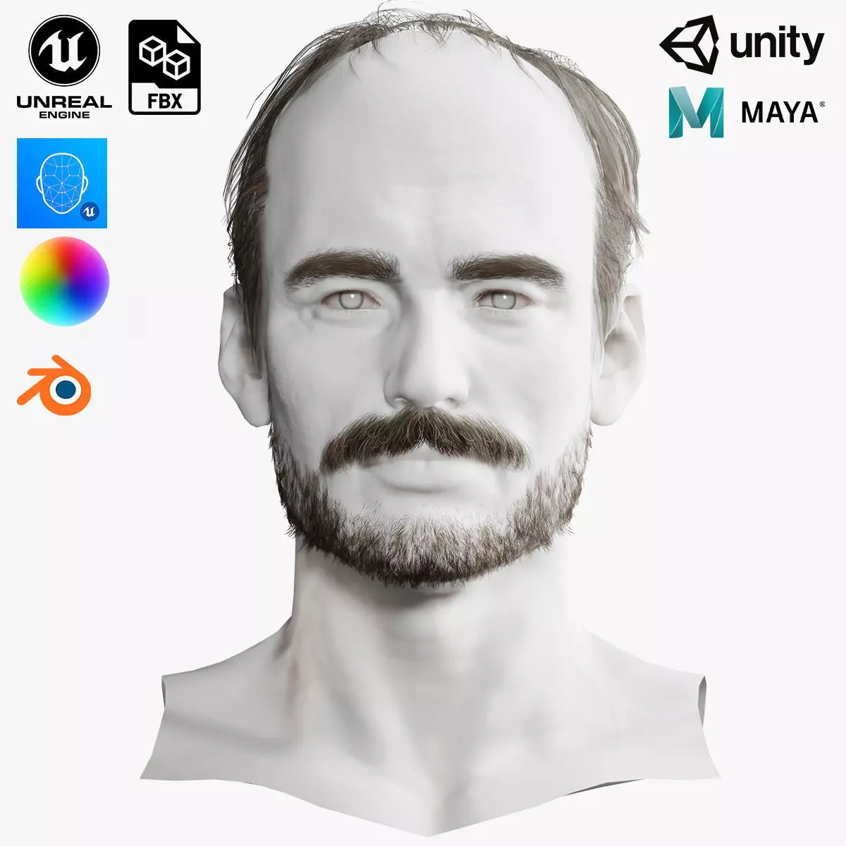 Realistic Hair Beard brows mustache p5 Low-poly 3D model_0