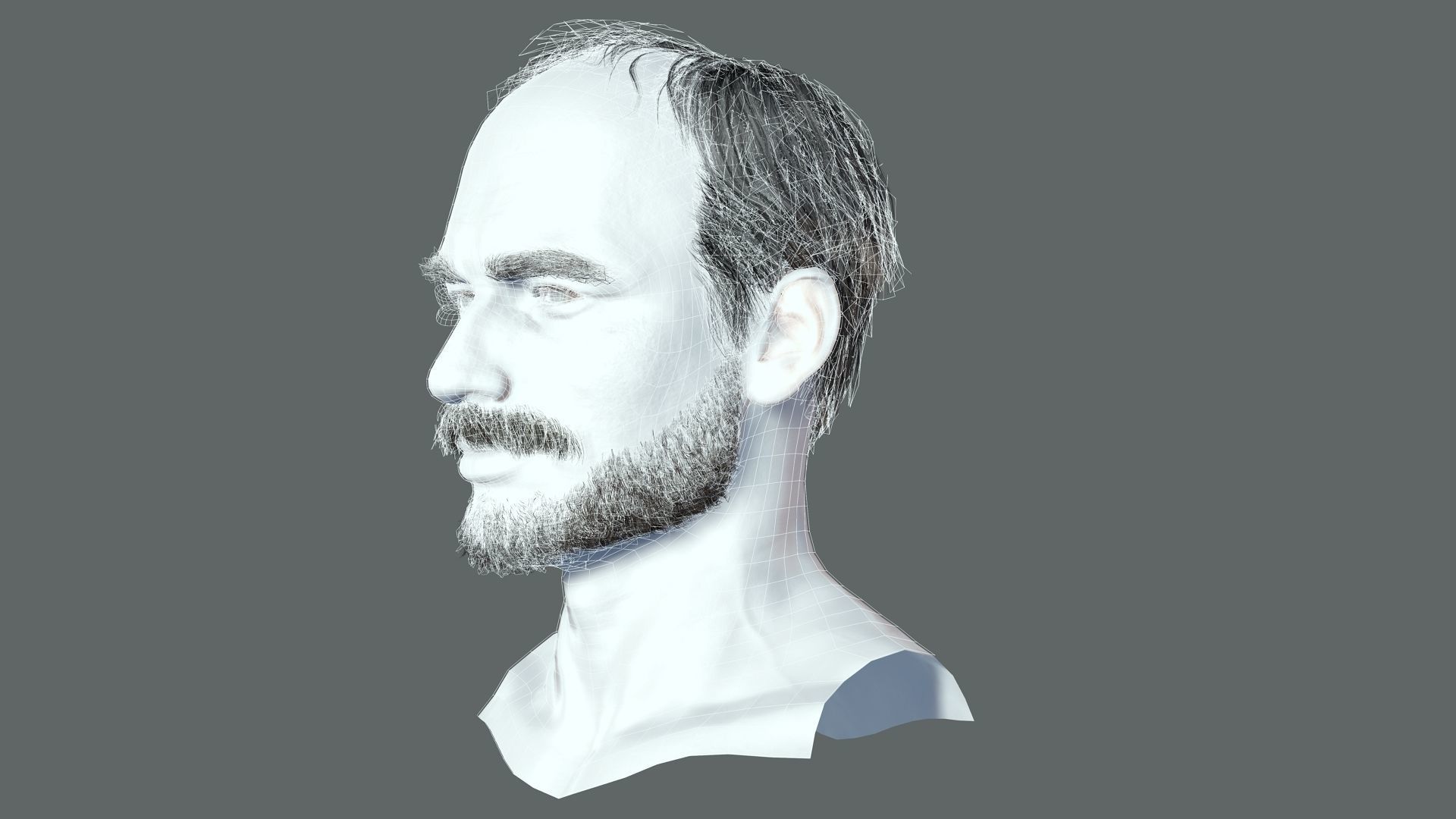 Realistic Hair Beard brows mustache p5 Low-poly 3D model_8