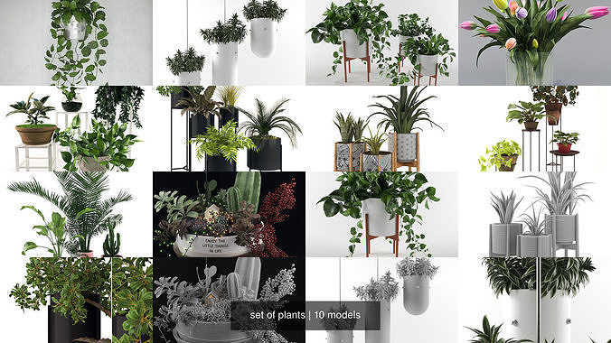 set of plants 3D Model Collection