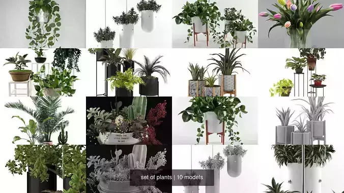 set of plants